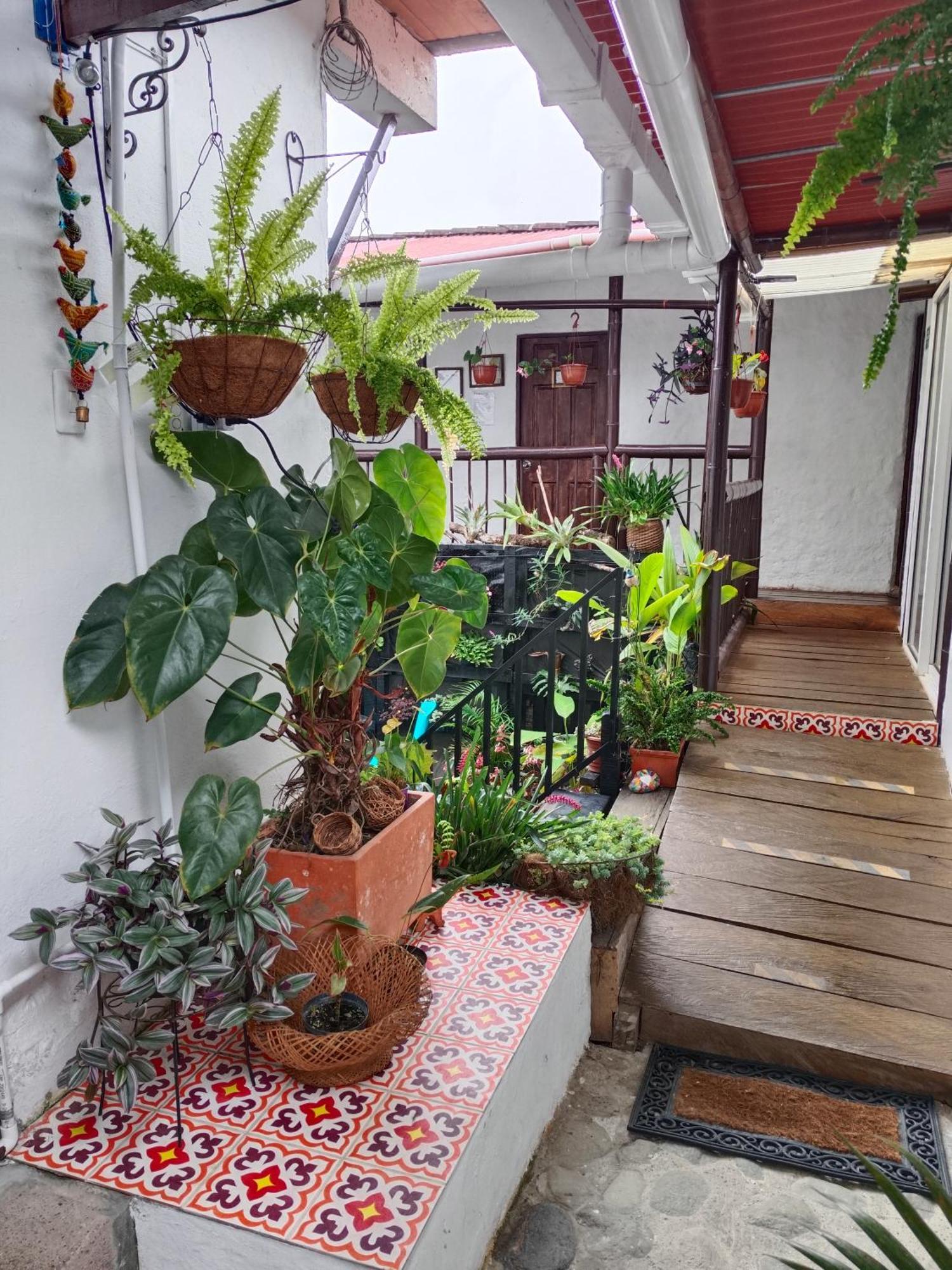 Apartaestudios La Baranda Salento Kültér fotó