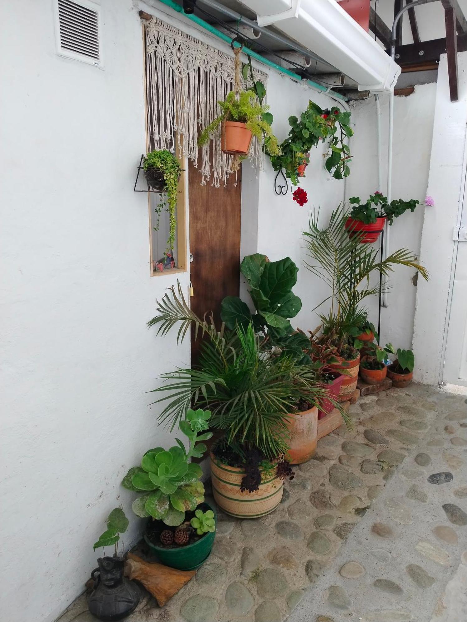Apartaestudios La Baranda Salento Kültér fotó