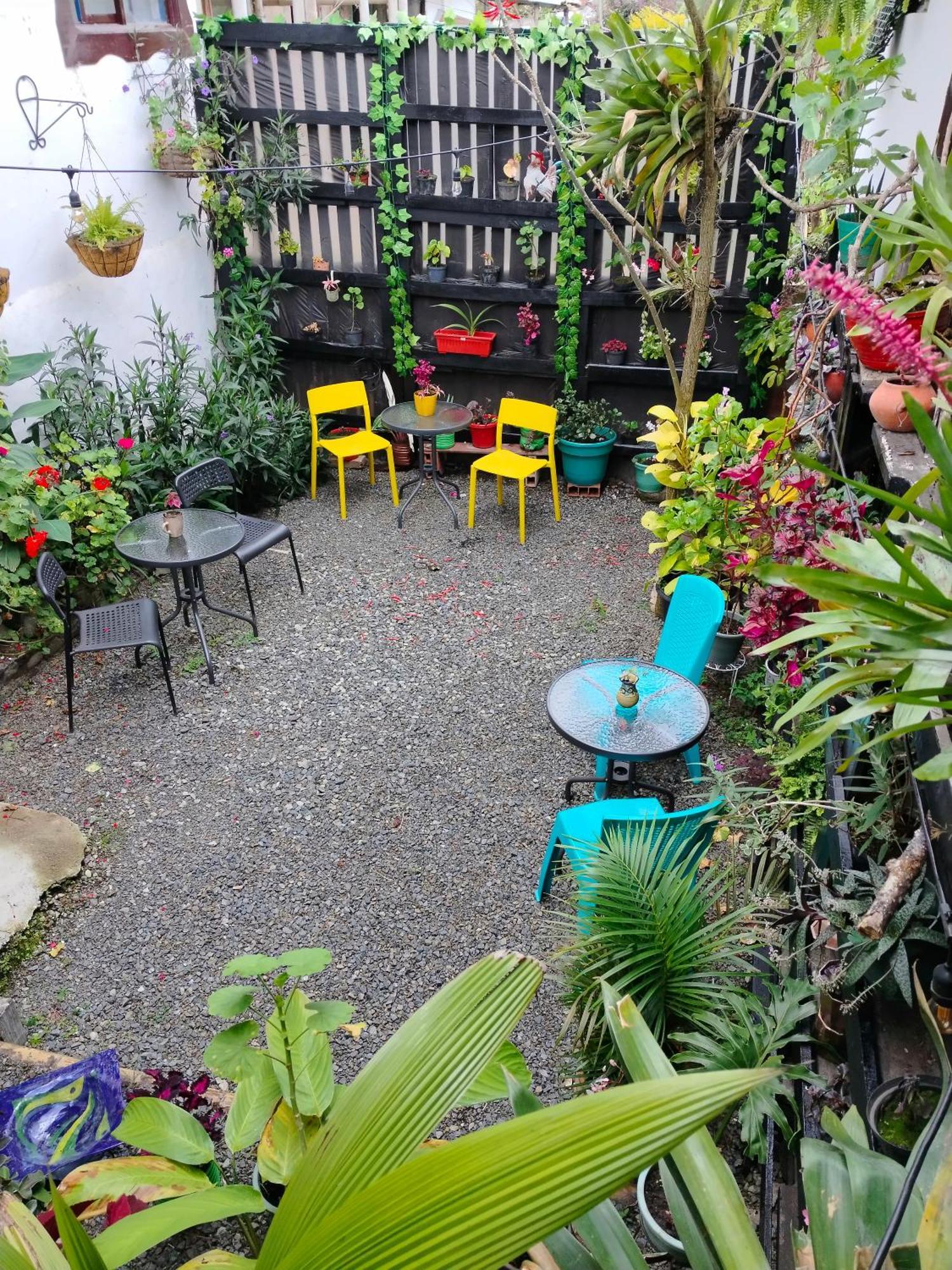 Apartaestudios La Baranda Salento Kültér fotó
